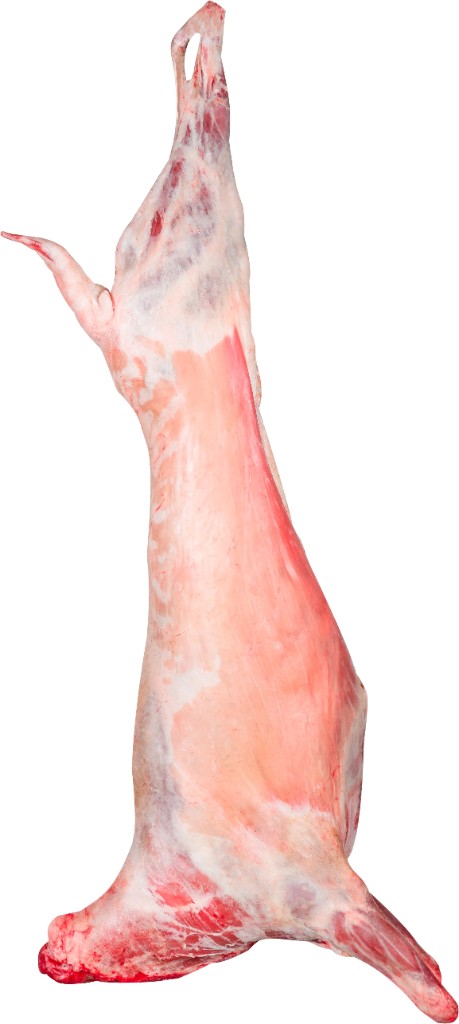 Full Lamb fresh halal meat product